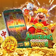 Tip miner blaze double
